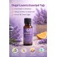 Lavanta Esansiyel Uçucu Koku Yağı Buhurdanlık Yağı Difüzör Esansı Hobi Esans Ortam Oda Kokusu 10ml Lavanta Esansiyel Uçucu Koku Yağı Buhurdanlık Yağı Difüzör Esansı Hobi Esans Ortam Oda Kokusu 10ml